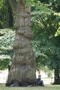 James St. James Park