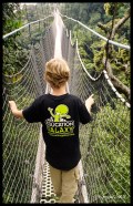 Walking the Canopy Walkway