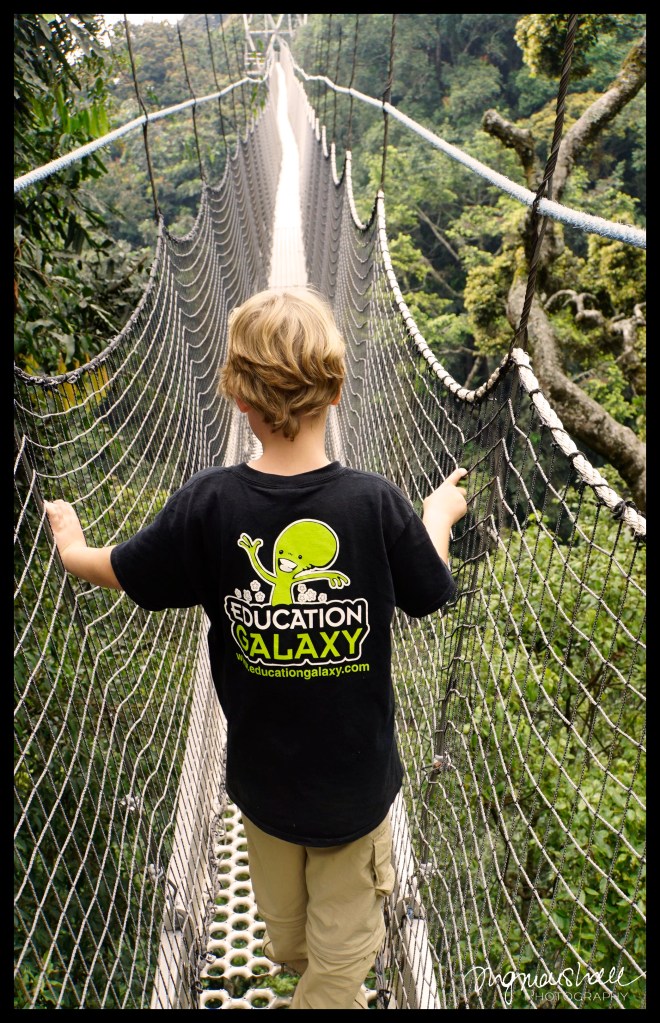Walking the Canopy Walkway