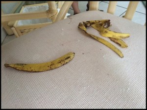 The monkey left the peels