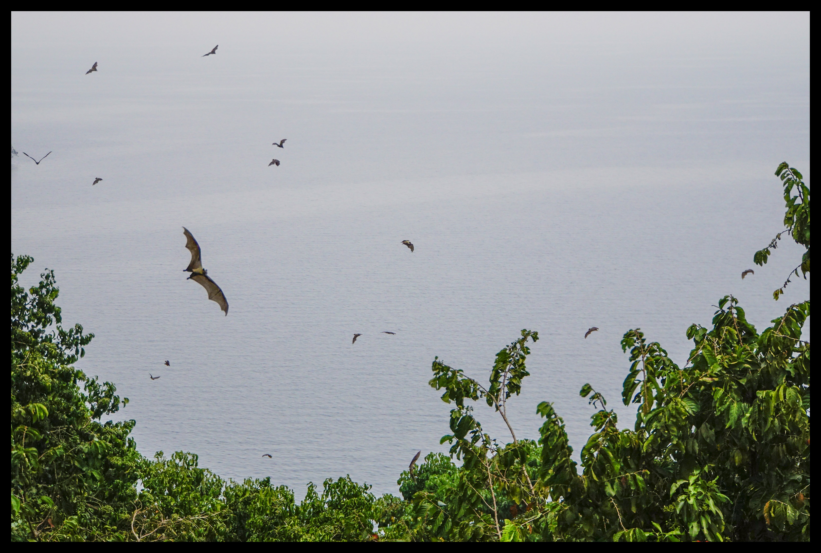 Lake Kivu Islands – Round the World Kid
