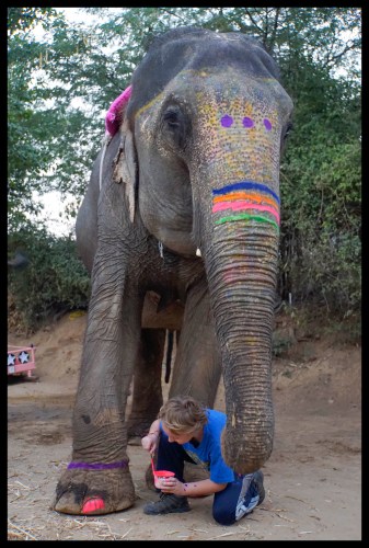 Jaipur - Elephant Painting!