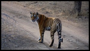 Isn't she beautiful?!