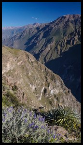 Colca Canyon