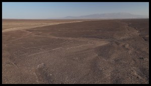 A small percentage of the Nazca Lines. Most can only be seen from a plane.