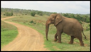 We moved out of his way!