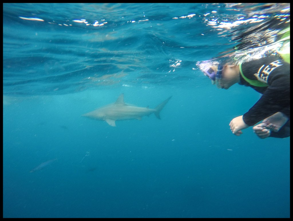 DCIM100GOPROGOPR9047.